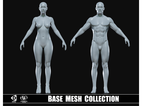 Realistic Athletic Human Body Base Mesh Modello 3D