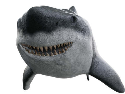 Shark 3d Modello 3D