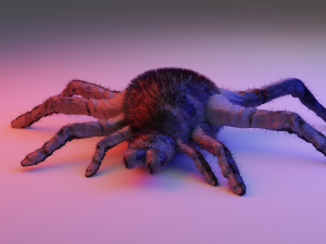 Spider Modello 3D