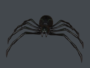 spider low poly Modello 3D